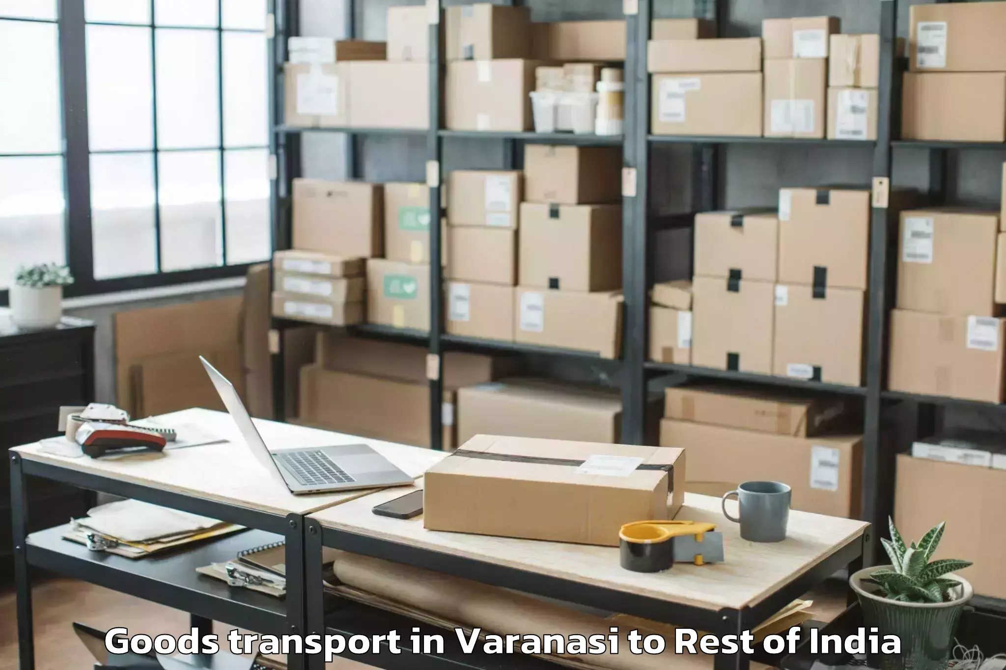 Professional Varanasi to Meriema Goods Transport